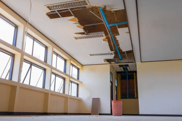 Best Professional water damage repair  in Bound Brook, NJ