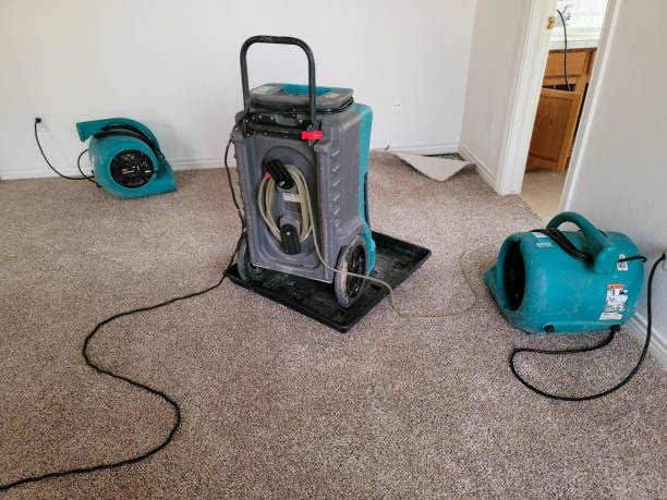 Best 24/7 water damage repair  in Bound Brook, NJ