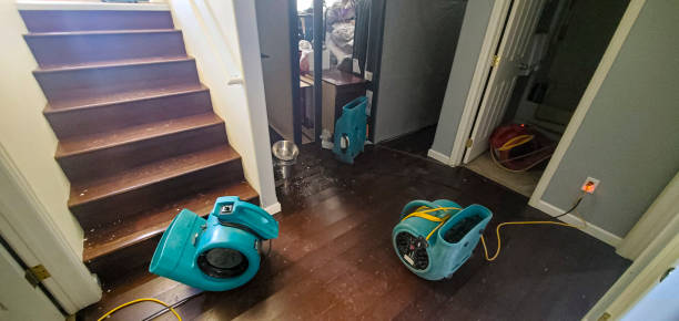Best Water damage contractors near me  in Bound Brook, NJ