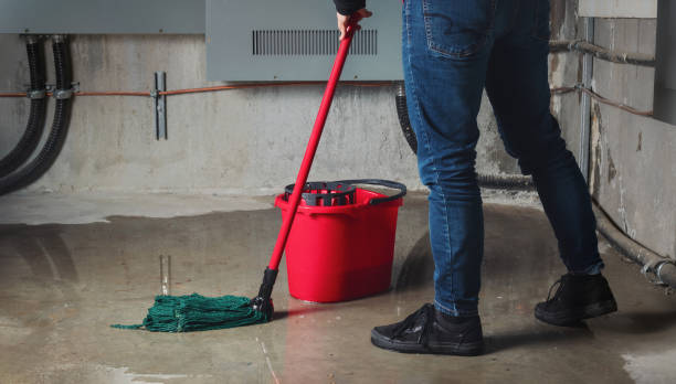 Best Water damage cleanup near me  in Bound Brook, NJ