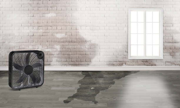 Bound Brook, NJ Water damage restoration Pros