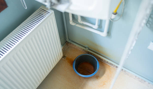 Best Ceiling water damage repair  in Bound Brook, NJ