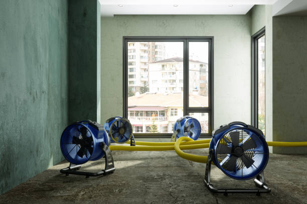Best Water damage restoration company  in Bound Brook, NJ