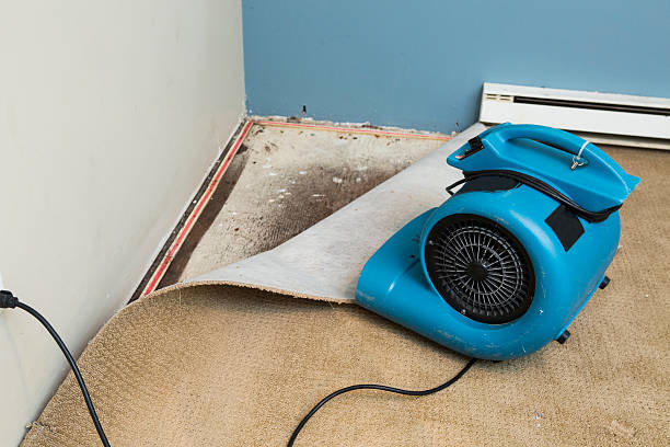 Best Local water damage restoration  in Bound Brook, NJ